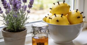 Co odstrasza muchy? Domowe sposoby, by skutecznie pozbyć się owadów